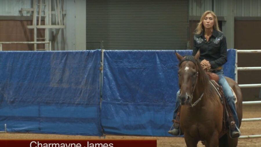 Left or Right