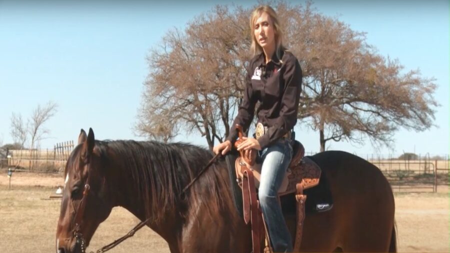 Saddle Fit