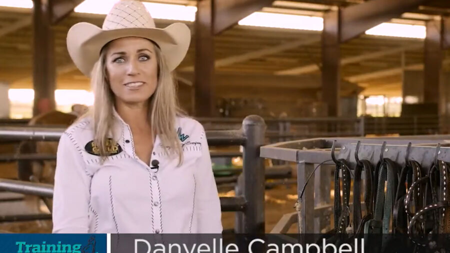 Danyelle Campbell Favorite Bits