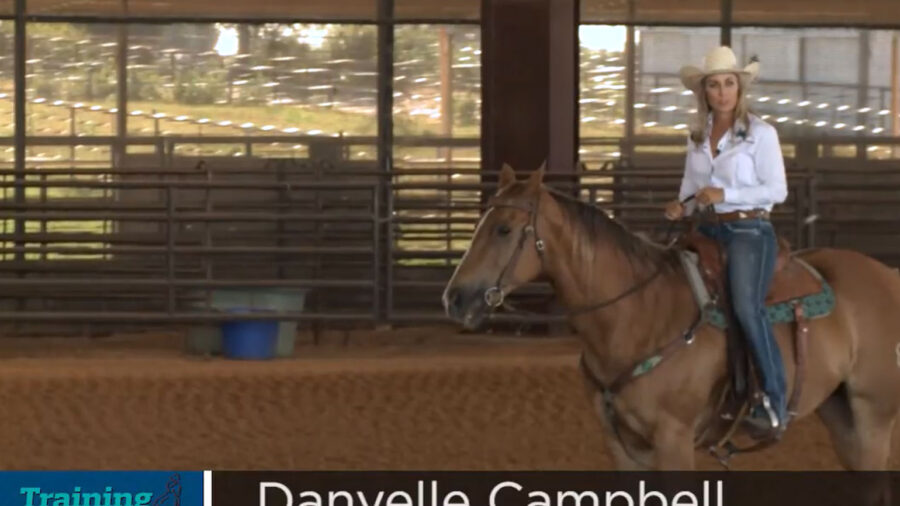Danyelle-Campbell-Horse-Body-Position