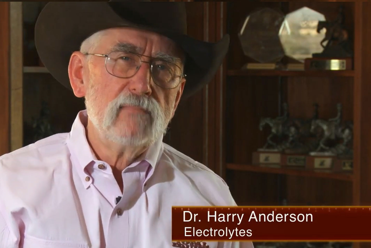 Dr.-Anderson-Electrolytes