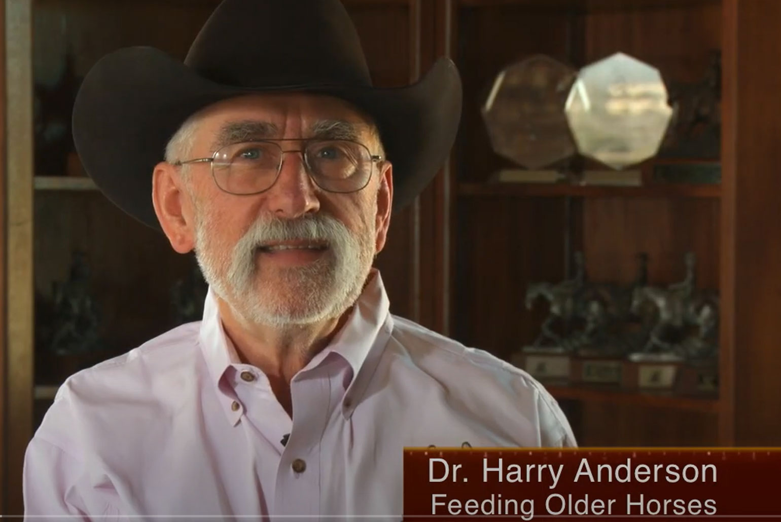 Dr.-Anderson-Feeding-Older-Horses