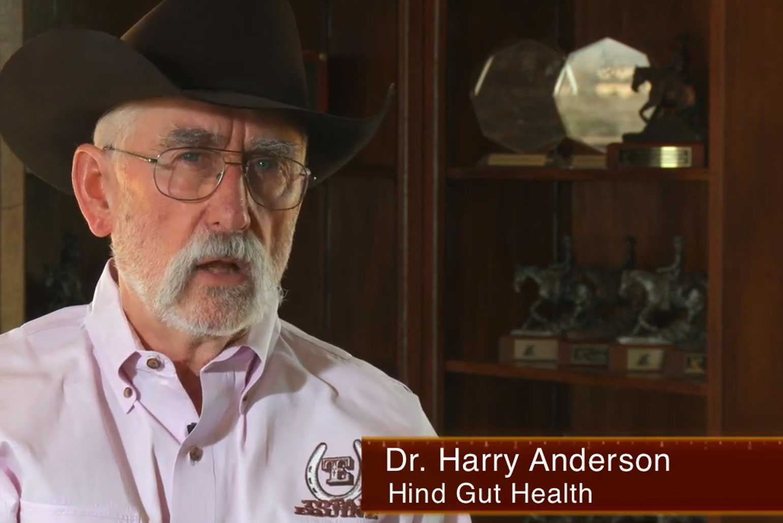 Dr. Anderson Hindgut Health