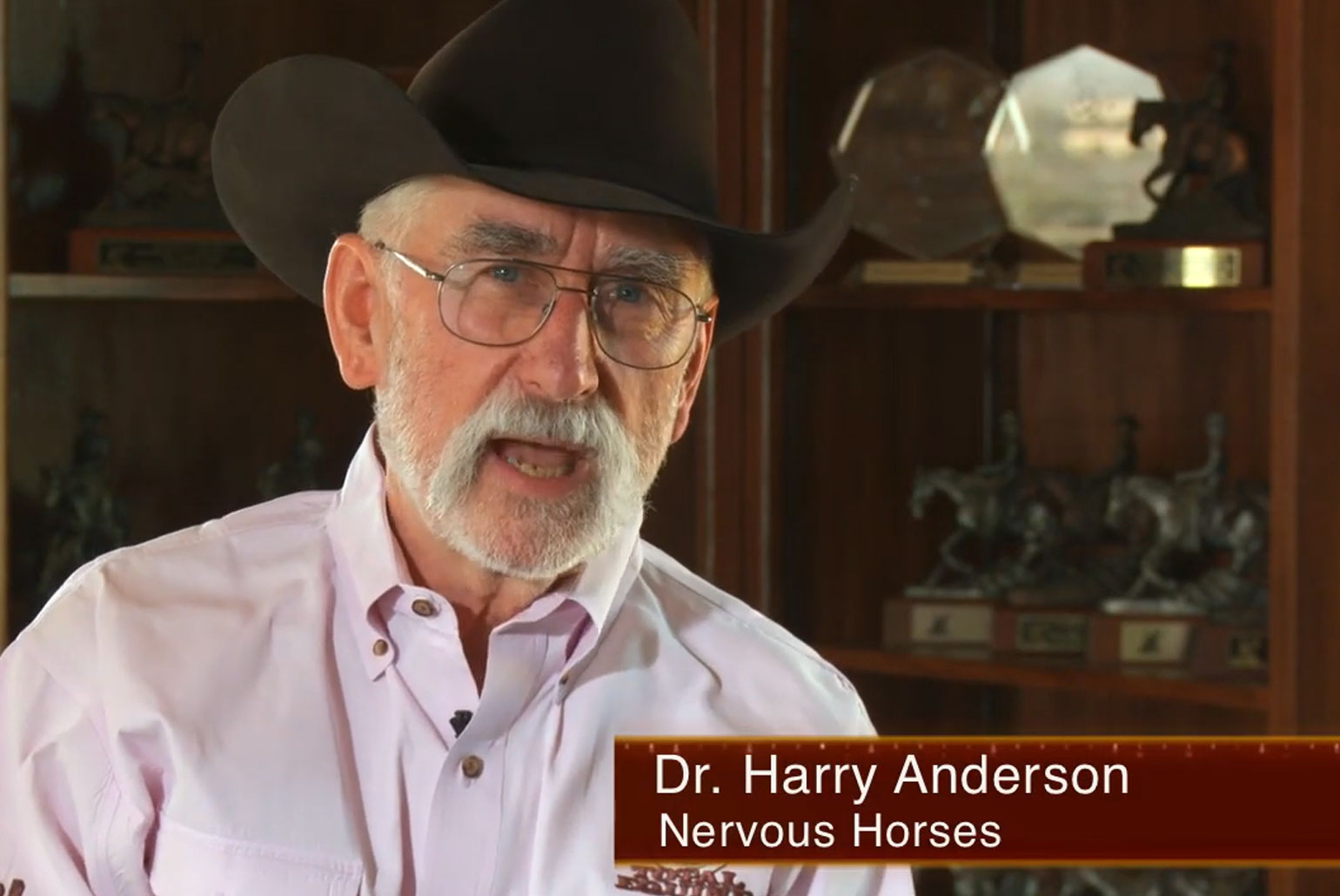 Dr. Anderson Nervous Horses