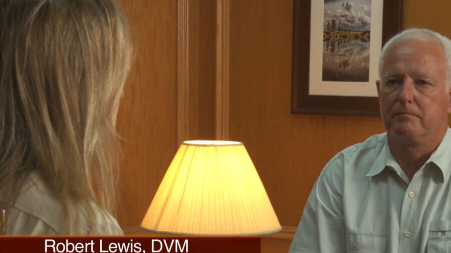 Dr. Lewis Balanced Feet