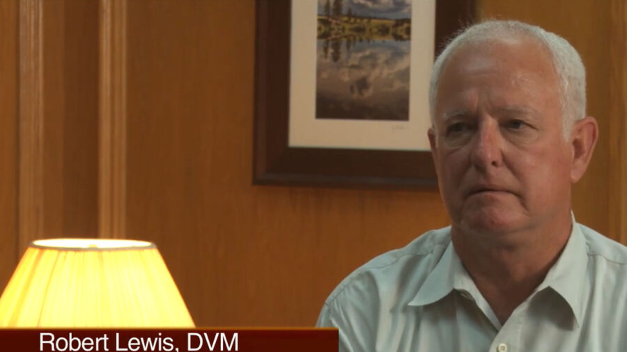 Dr. Lewis Ulcers