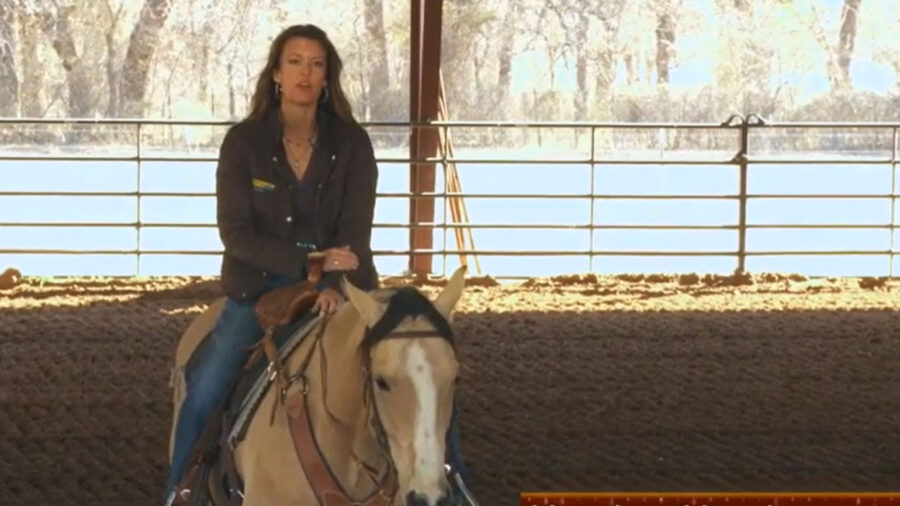 Heather Heath A Broke Horse