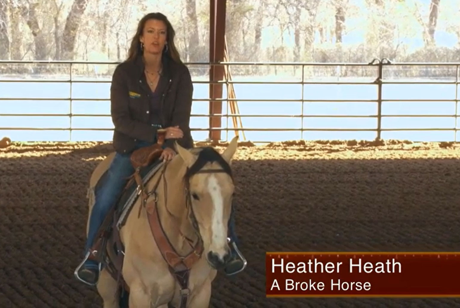 Heather Heath A Broke Horse