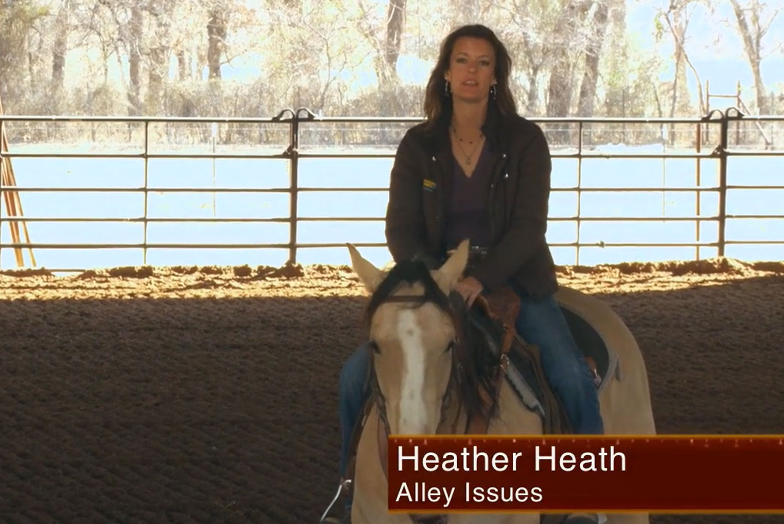 Heather-Heath-Alley-Issues