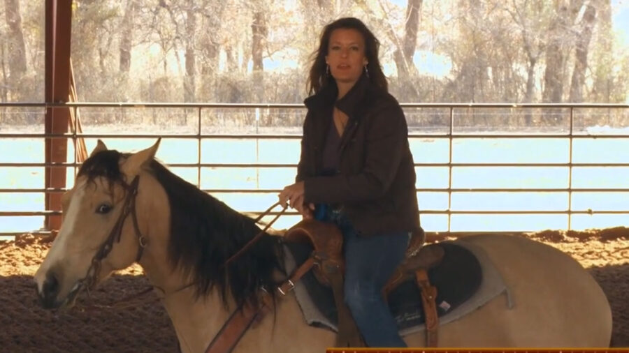 Heather Heath Blowing by the Barrels