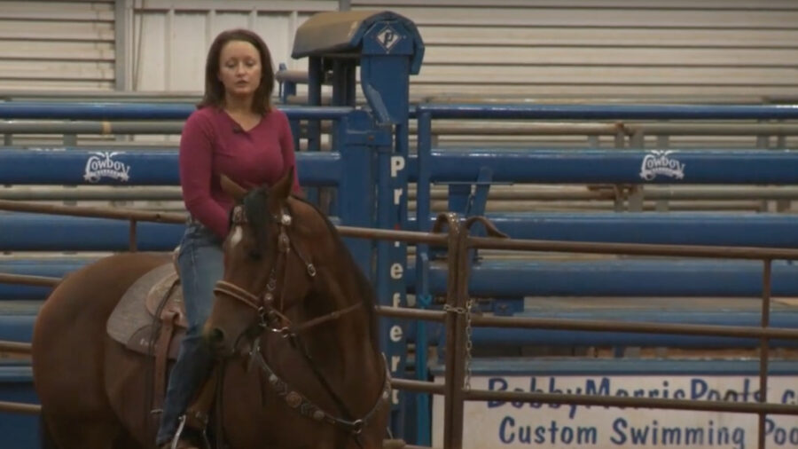 Starting Colts on Barrels