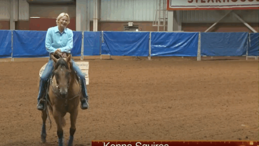 Getting a Handle on Your Horse
