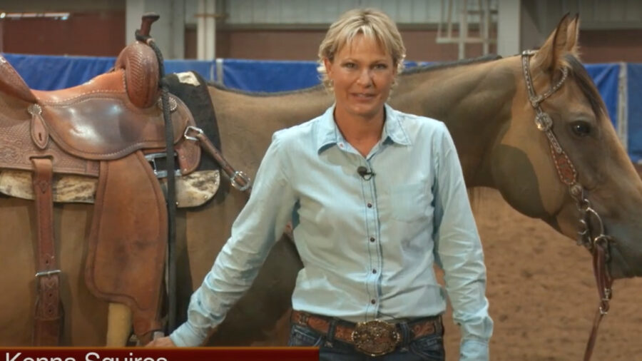 How Much to Work Your Horse