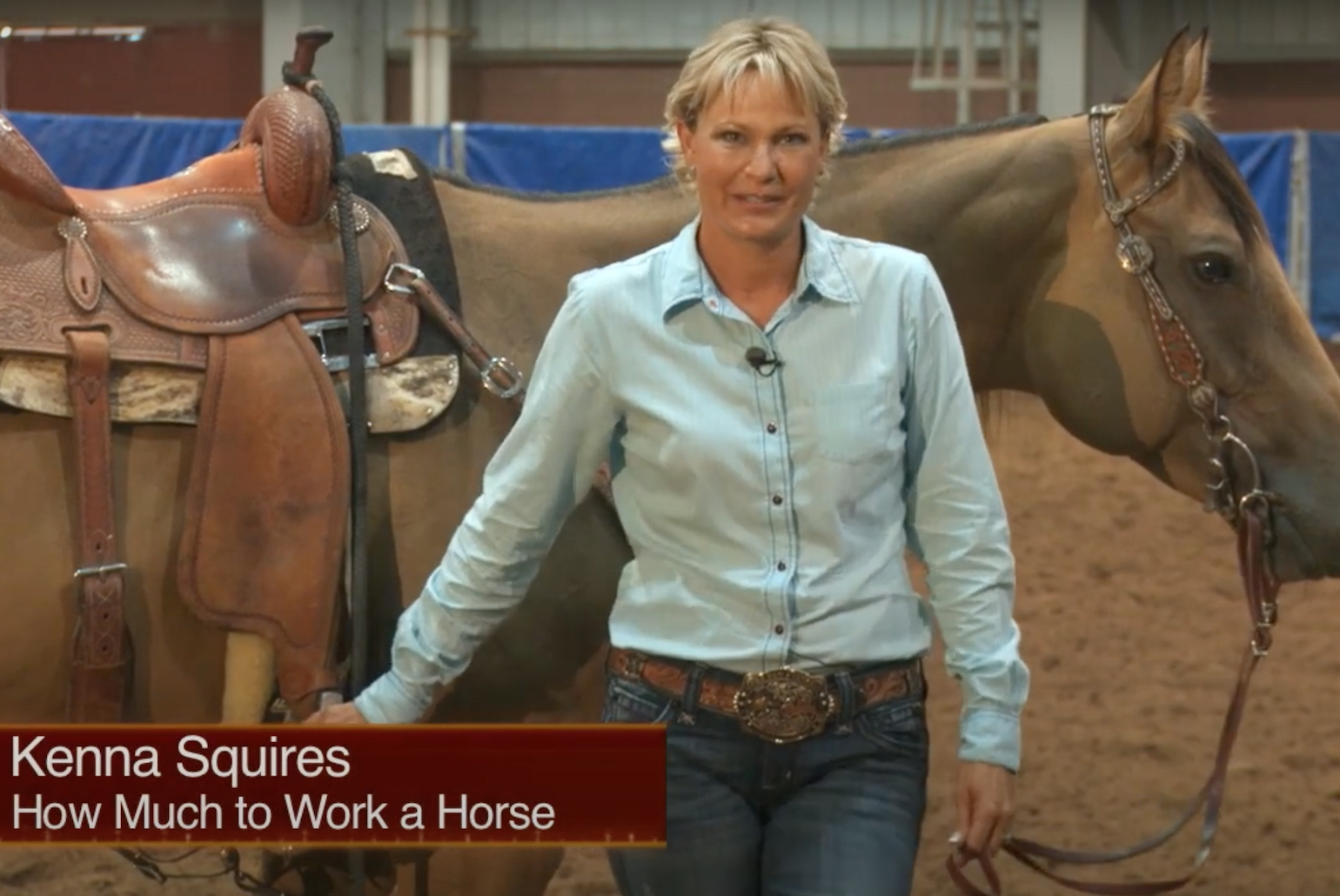 How Much to Work Your Horse