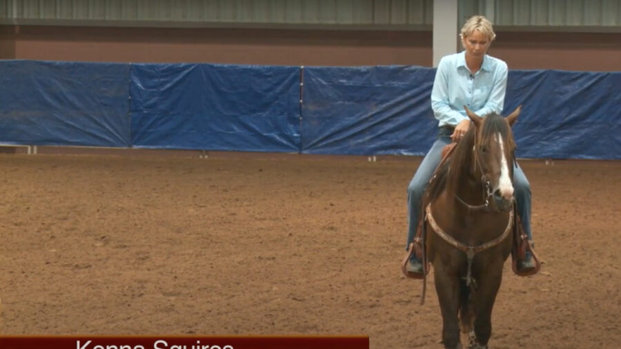 Warming Up Your Horse