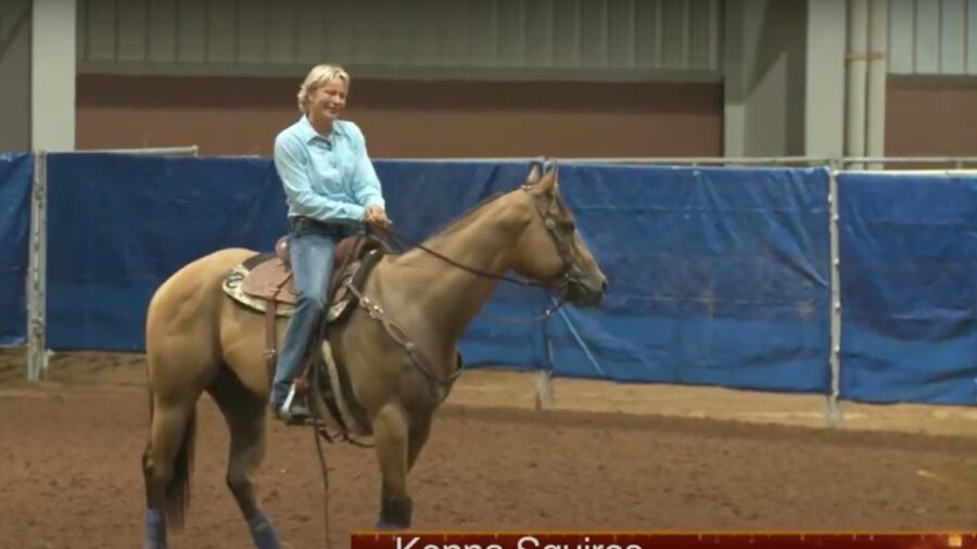 Starting to Pattern a Horse