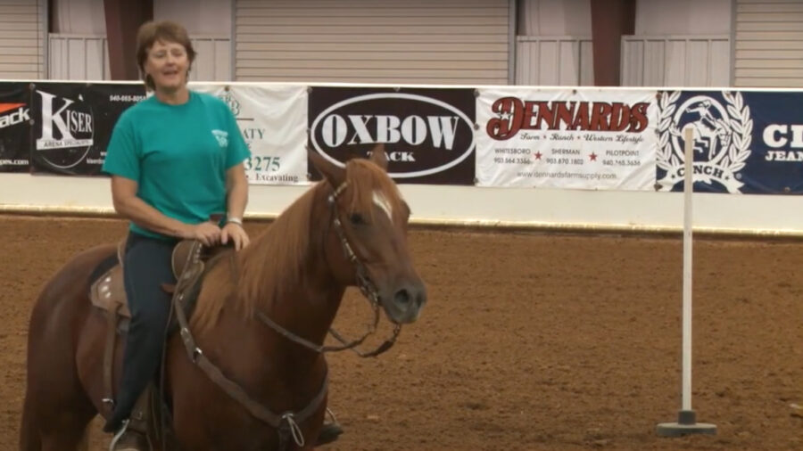 Keeping a Finished Horse Happy