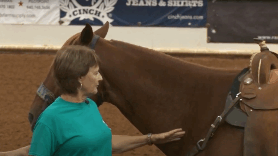 Picking Horses