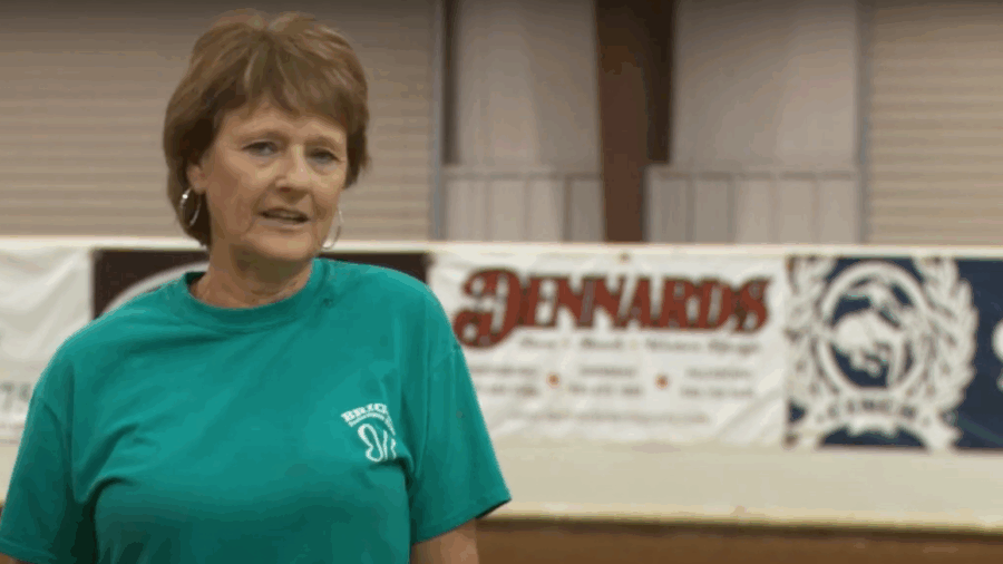 Senior Division