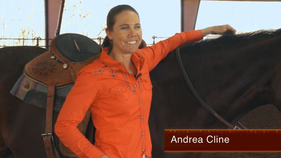 Meet Andrea Cline