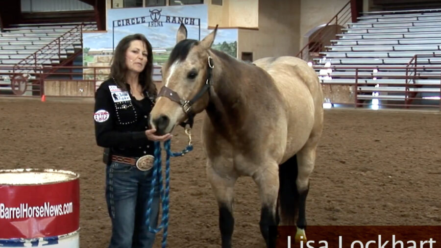 Meet Lisa Lockhart