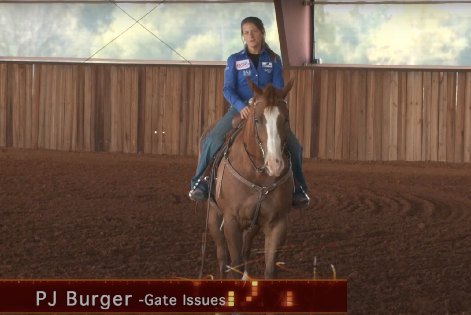 Gate Issues