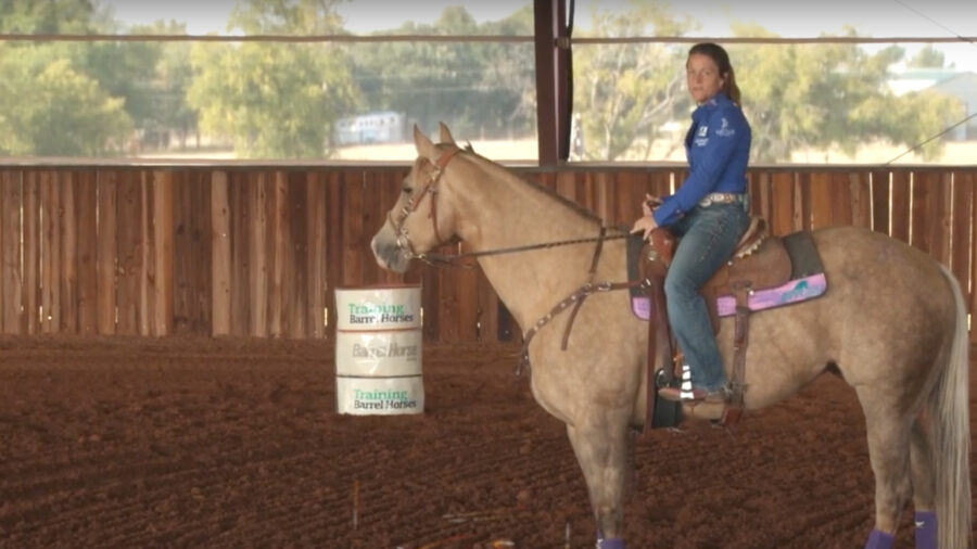 Rein and Stirrup Length