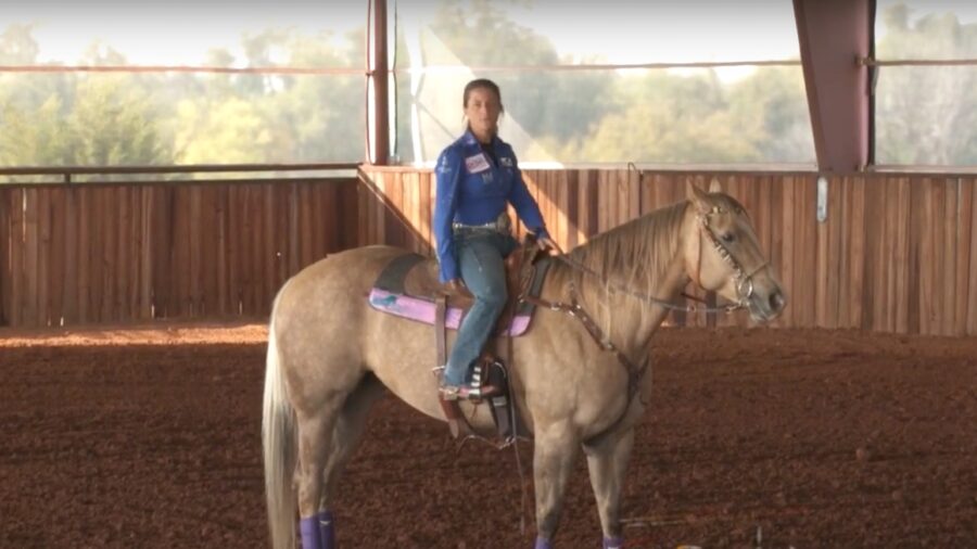 Starting Horse on the Pattern