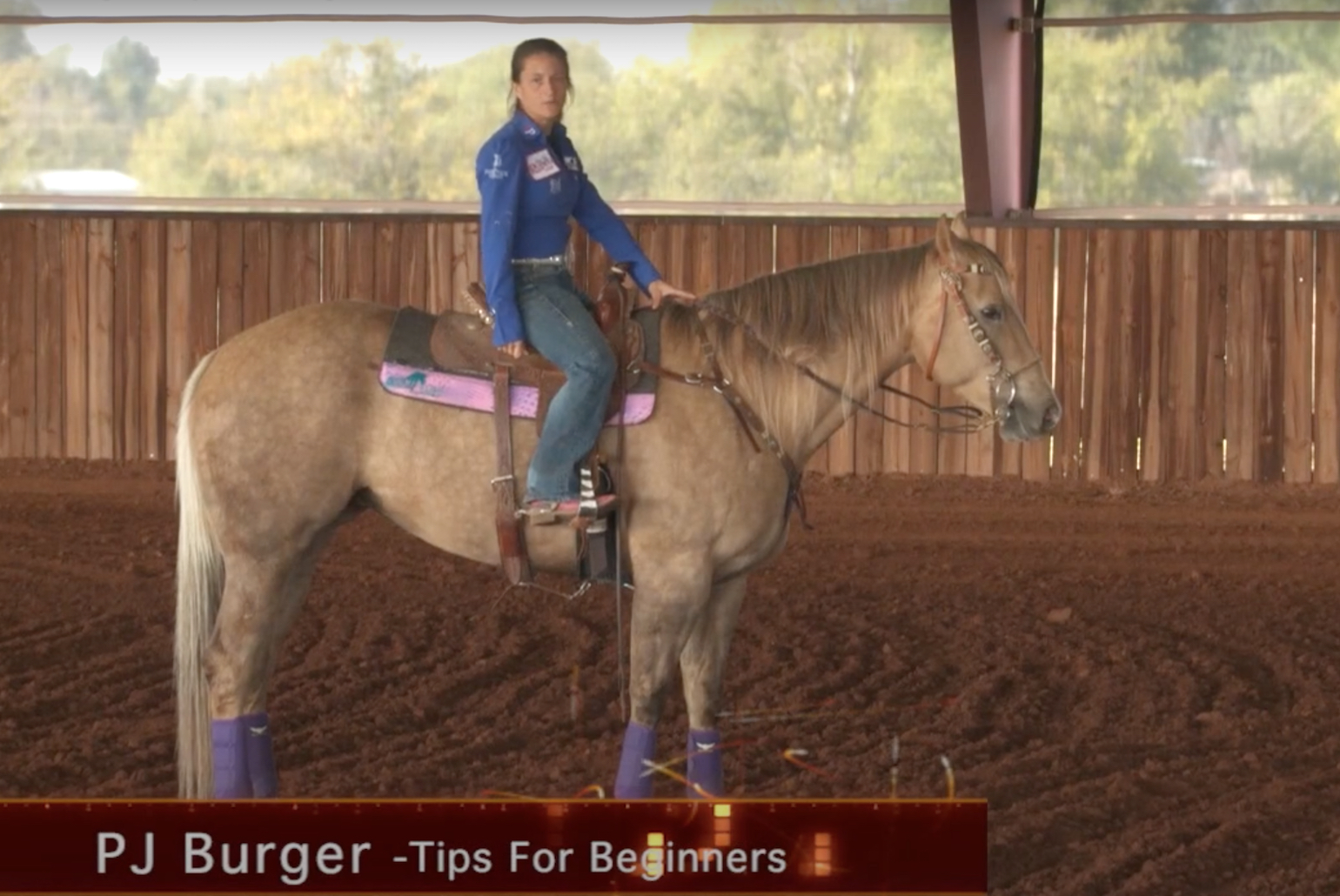 Tips for Beginners