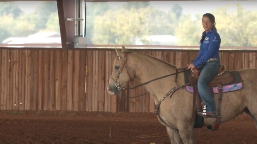 Warming Up Your Horse