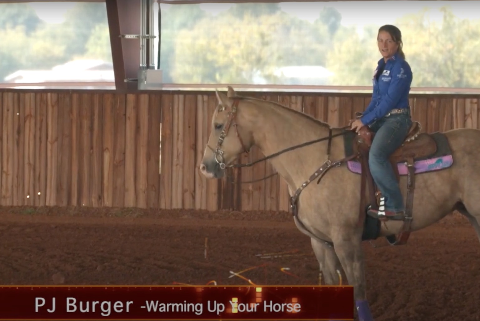 Warming Up Your Horse