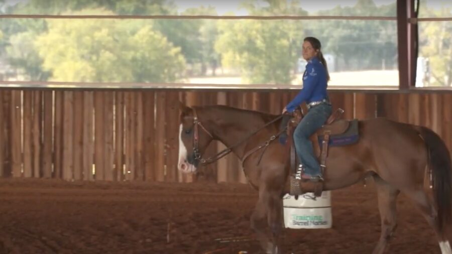 When Horse Quits Working