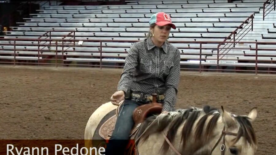 What to know about futurity horses