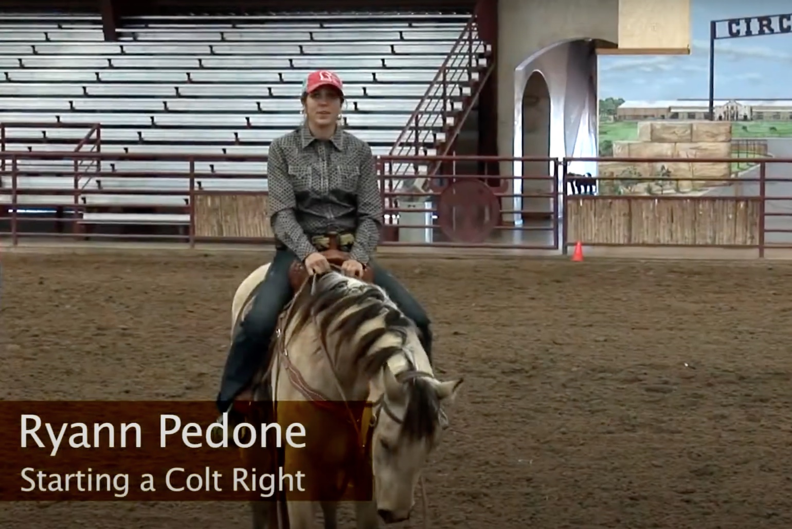 Starting a Colt Right