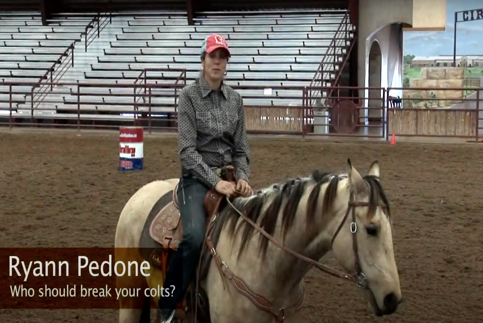 who should break your futurity colts