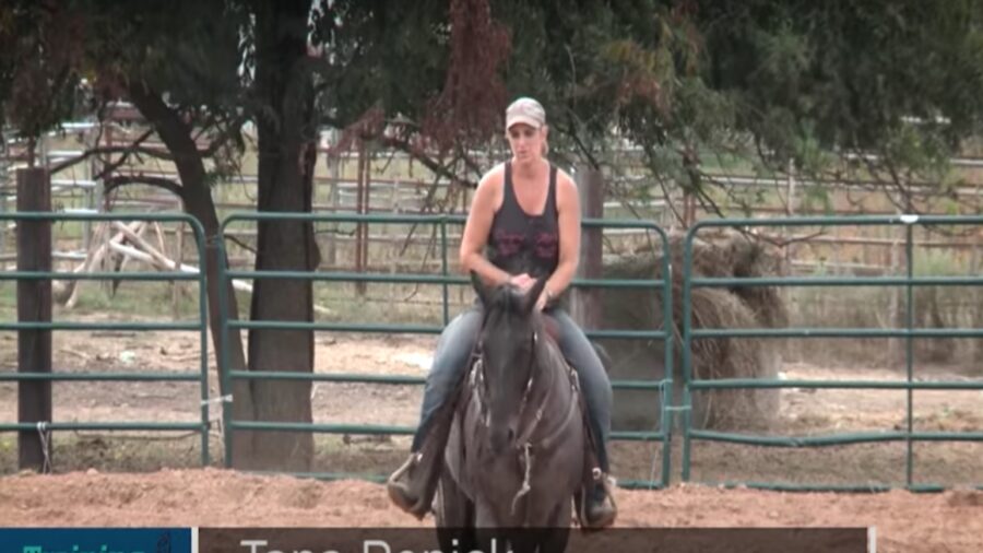 Drills for Finished Horses