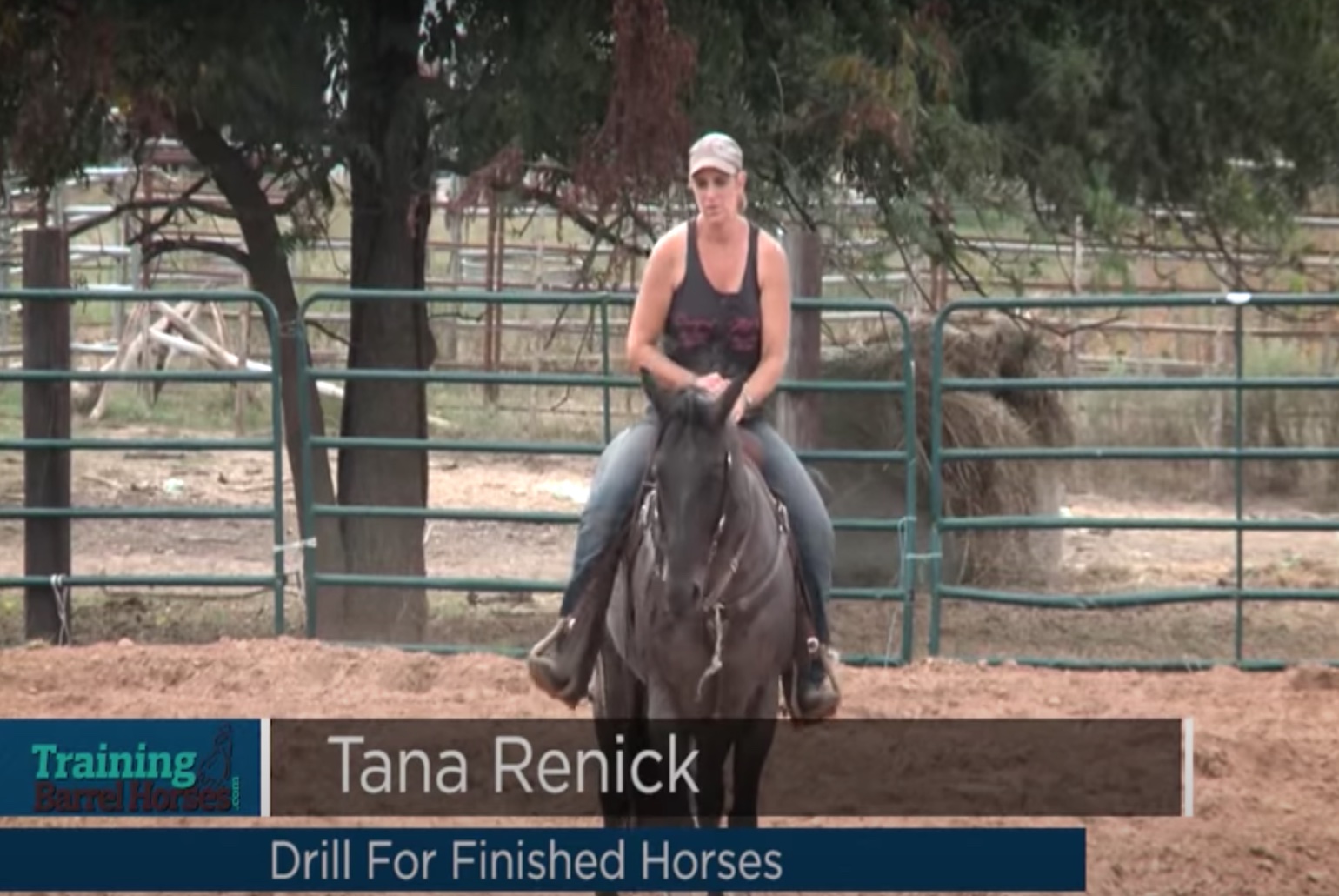 Drills for Finished Horses