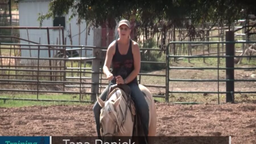 Keeping your horse interested