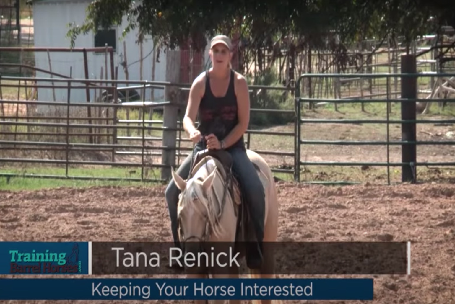 Keeping your horse interested