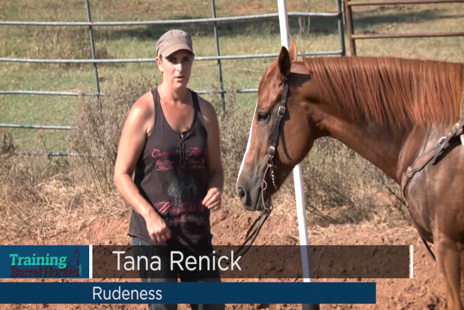 Rudeness