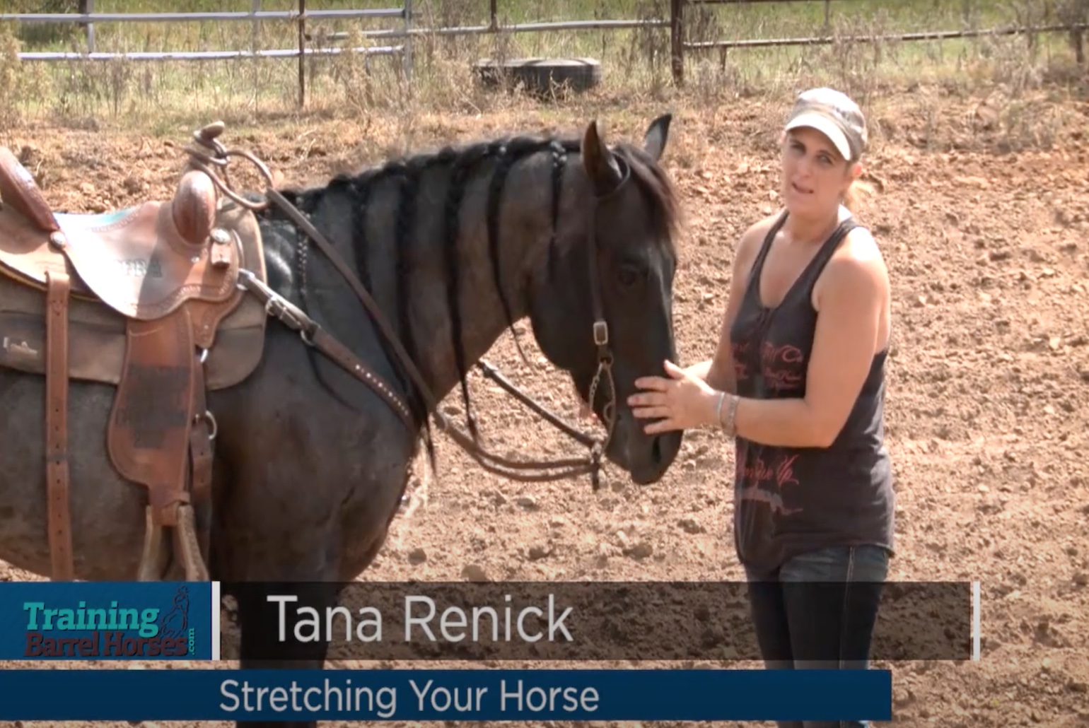 Stretching your Horse