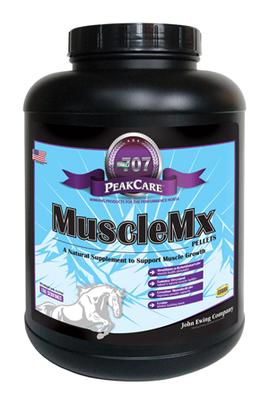 Guide17 707MuscleMix