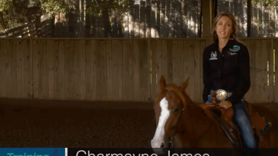 Inside Hind Leg Placement
