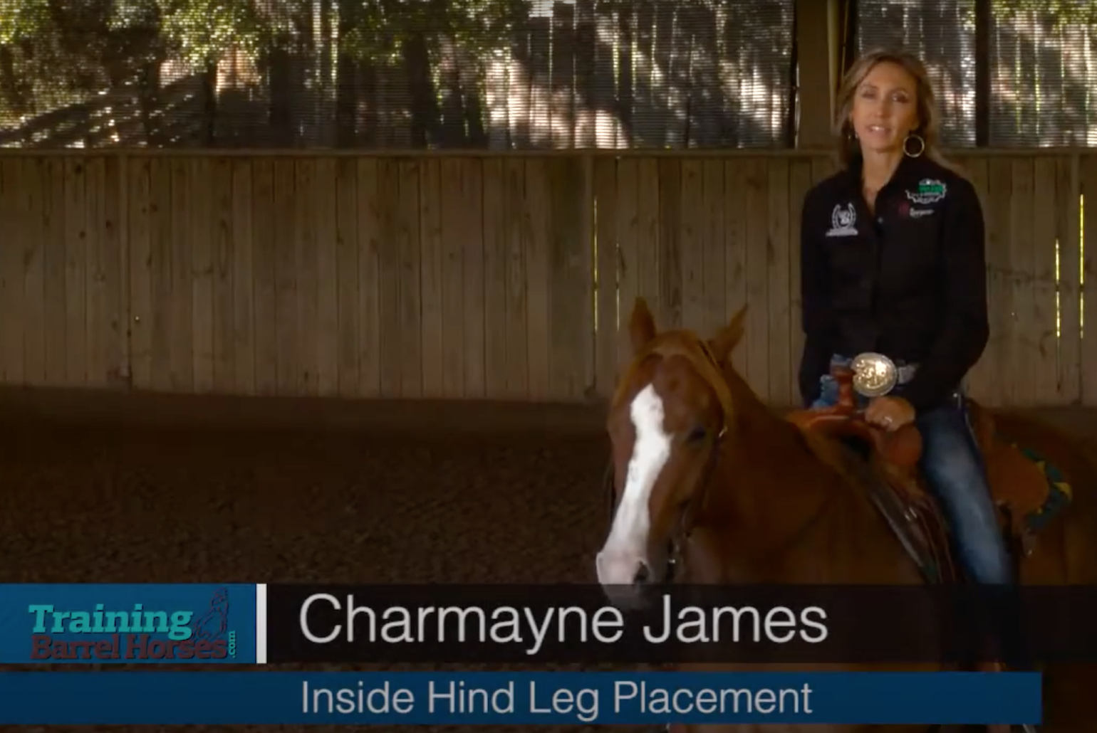 Inside Hind Leg Placement