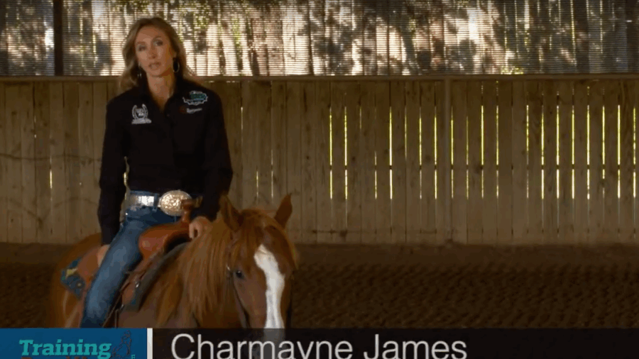 Staying with your horse in your turns