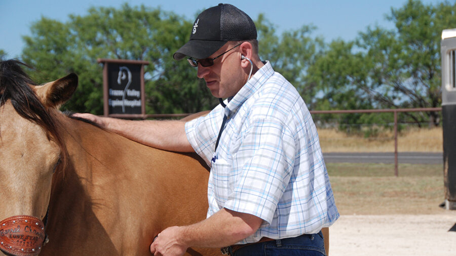 In most cases, a veterinarian exam is required on horses before purchasing mortality insurance.