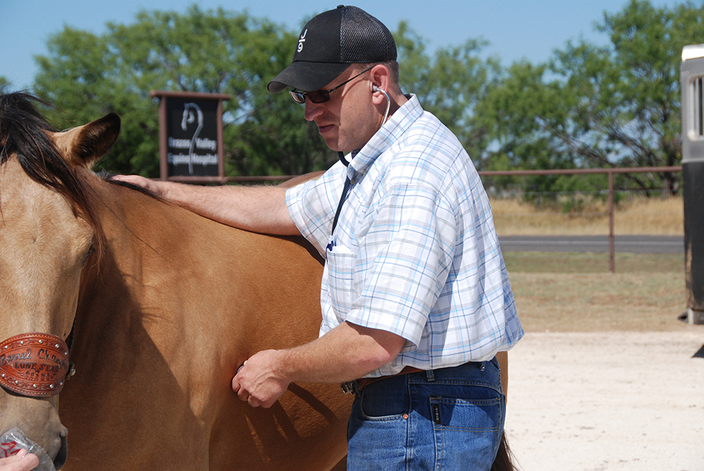 In most cases, a veterinarian exam is required on horses before purchasing mortality insurance.