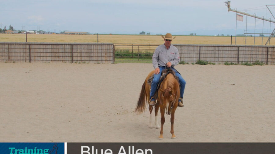 Blue-Allen-rewarding-your-horse