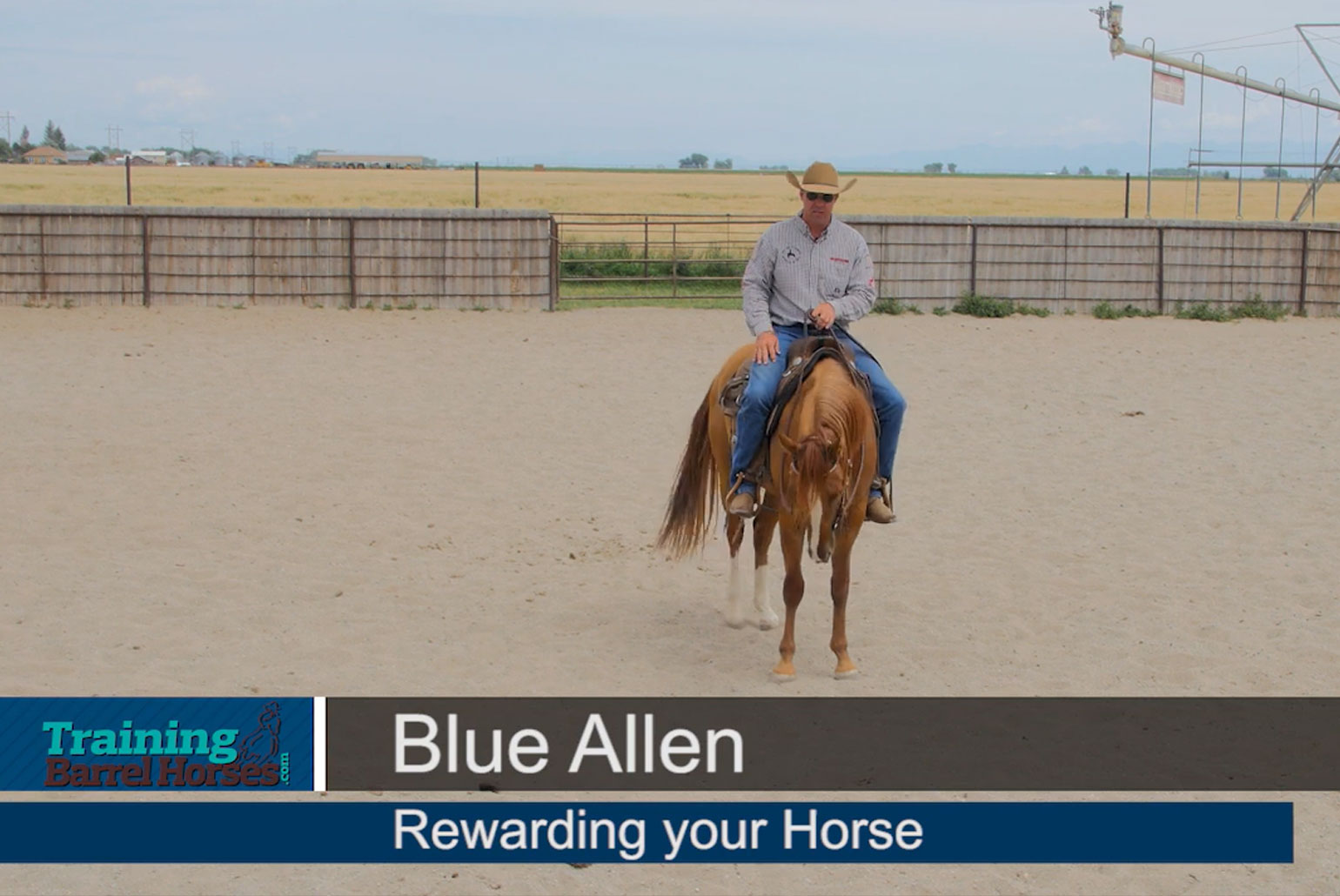 Blue-Allen-rewarding-your-horse