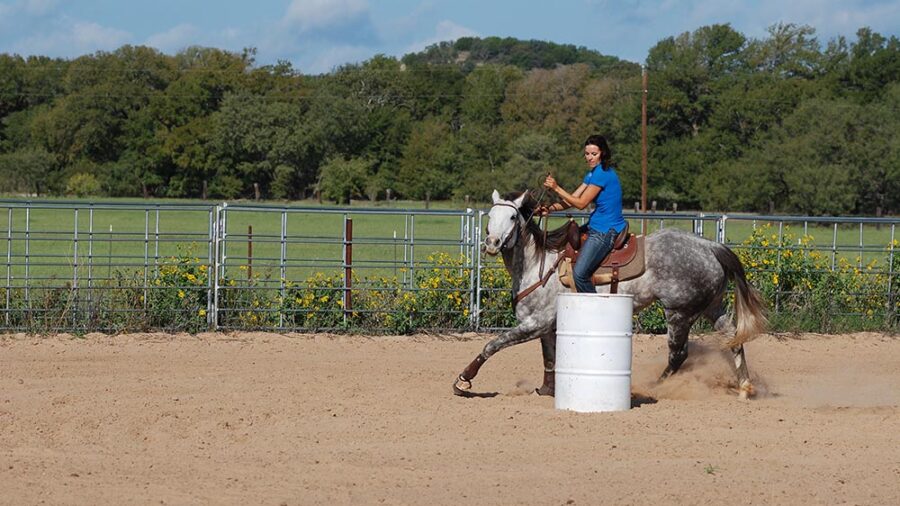 As they work through the four-leaf clover drill, Gwen softens from nose to tail, engages her hindquarters, and reaches with her front legs in tune with Kraft’s guidance.